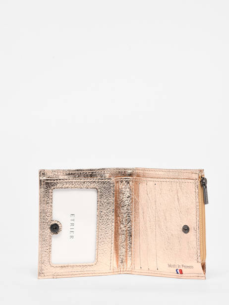 Porte-monnaie Etincelle Irisée Cuir Etrier Or etincelle irisee EETI810 vue secondaire 1